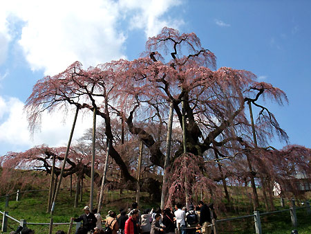 bz-20100420-01.jpg