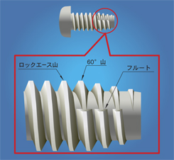 LAT Screw